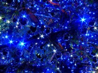 /album/christmas-pictures/a-4-jpg/